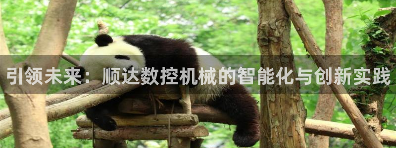 天辰娱乐主管:引领未来:顺达数控机械的智能化与创新实践