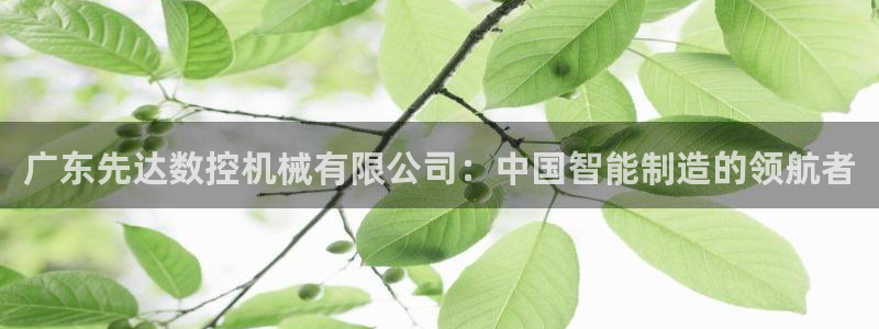 天辰娱乐反水:广东先达数控机械有限公司:中国智能制造的领航者