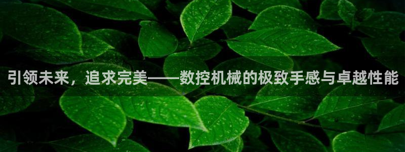 天辰娱乐欢乐:引领未来,追求完美——数控机械的极致手感与卓越性能