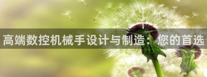 天辰娱乐728567:高端数控机械手设计与制造:您的首选