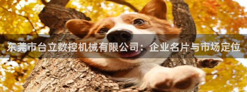 天辰娱乐指定:东莞市台立数控机械有限公司:企业名片与市场定位