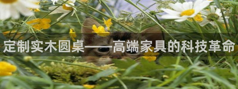 天辰娱乐44516:定制实木圆桌——高端家具的科技革命