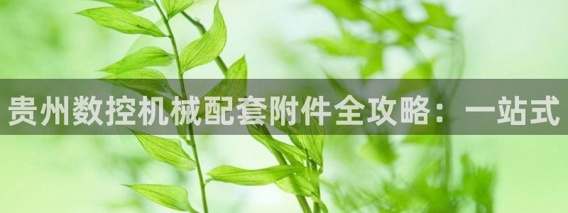 天辰团队贝高娱乐:贵州数控机械配套附件全攻略:一站式