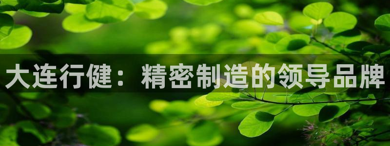 天辰娱乐娱乐注册:大连行健:精密制造的领导品牌