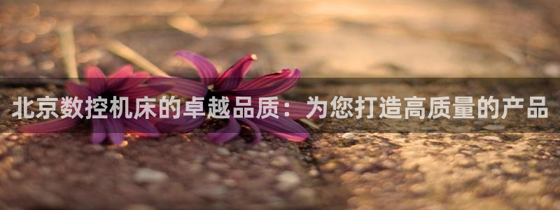 天辰娱乐登陆平台:北京数控机床的卓越品质:为您打造高质量的产品